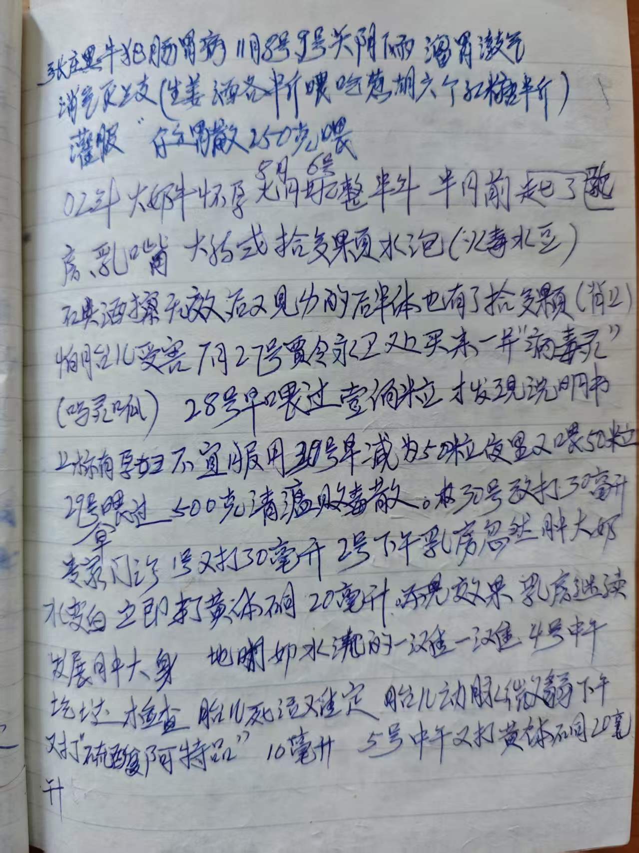 养牛笔记内页