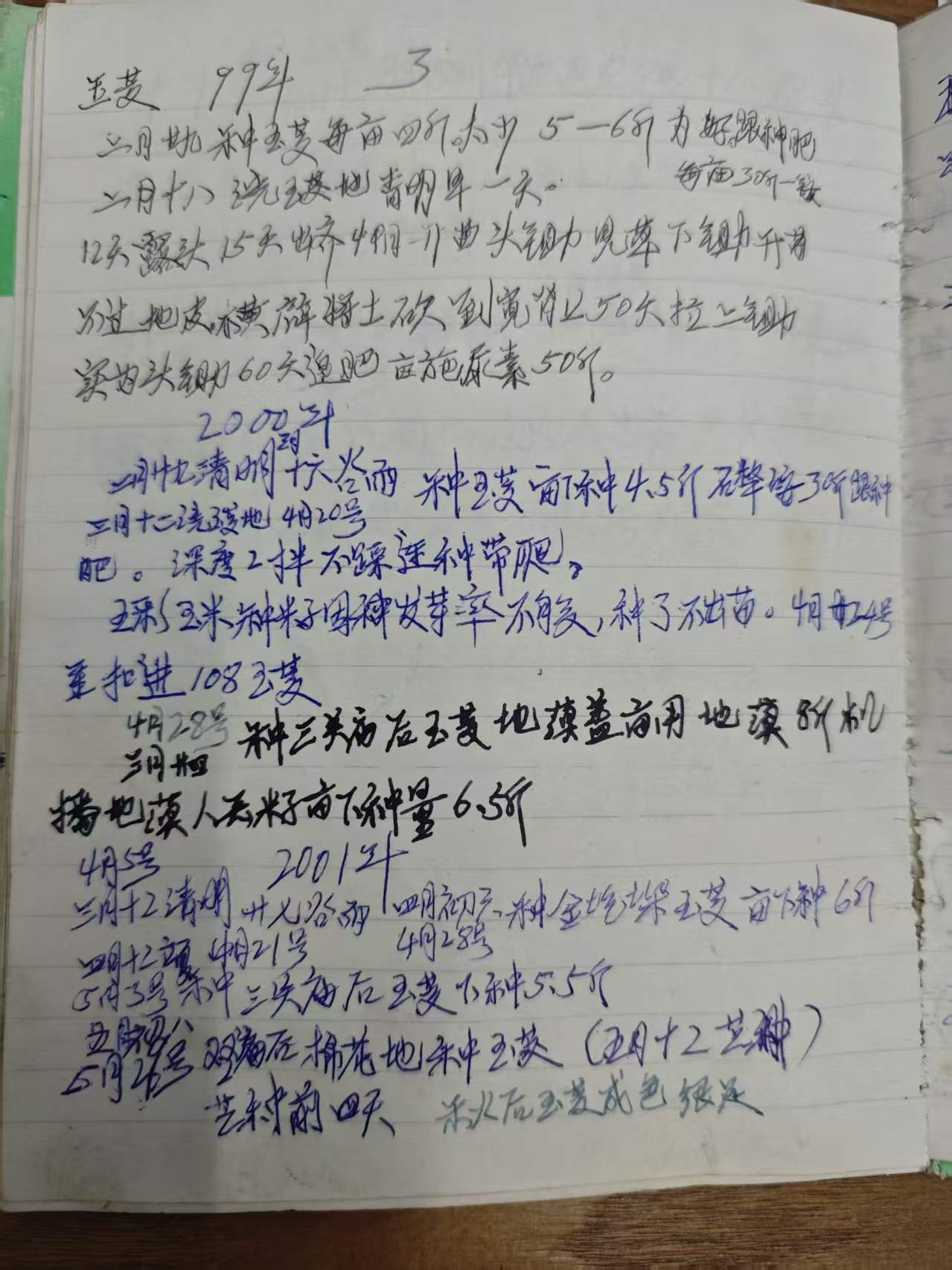玉米种植记录